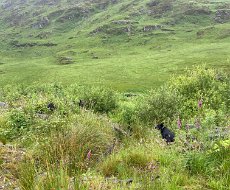 July - Galloway exploring